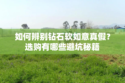 如何辨别钻石软如意真假？选购有哪些避坑秘籍